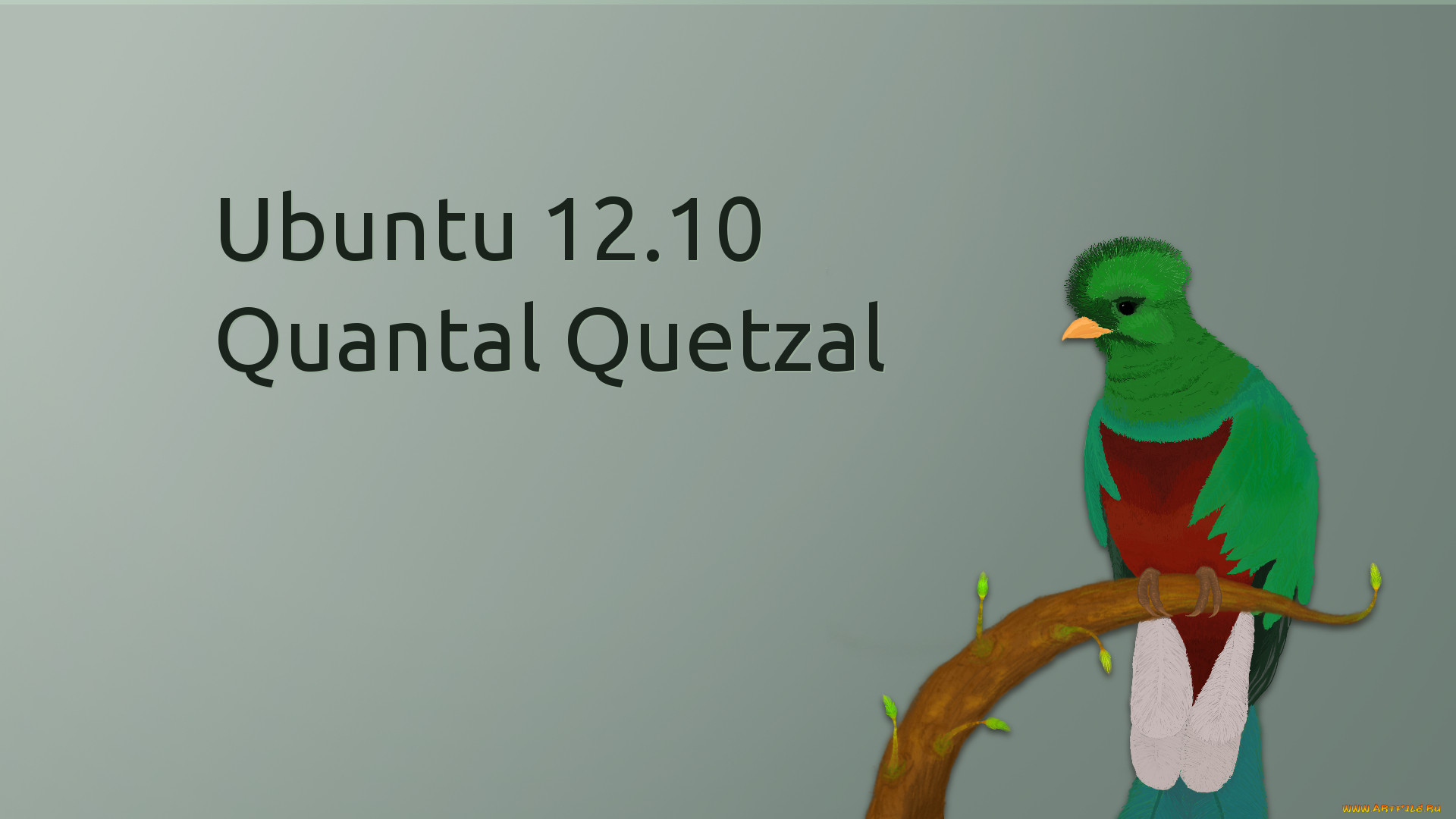 , ubuntu linux, 